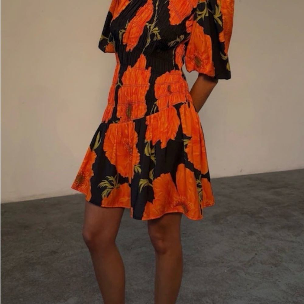 Never Fully Dressed Nara mini dress with red poppy print - Picture 3 of 6